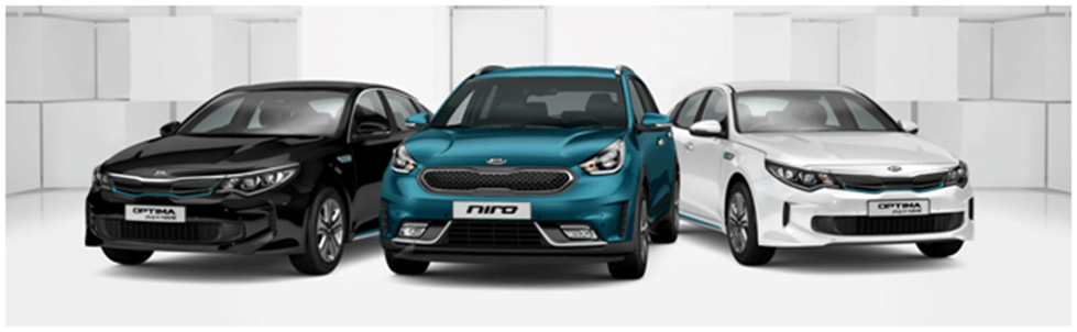 Total hybridization: who is trending? (3)