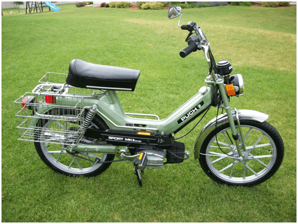 «Weirdo» among hybrids -3